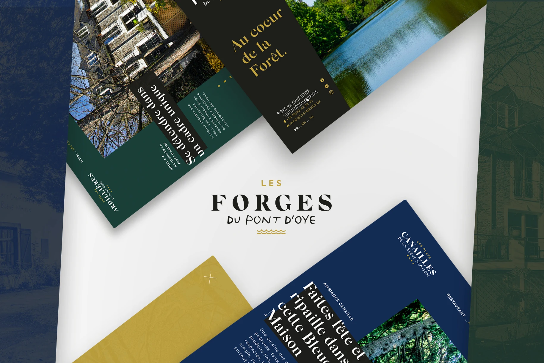 Au coeur de la Forêt